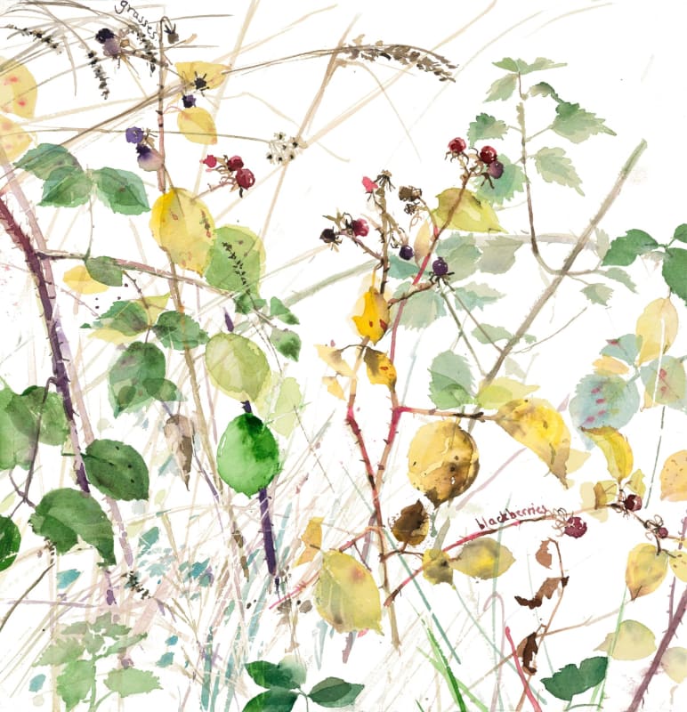 End of the Blackberries