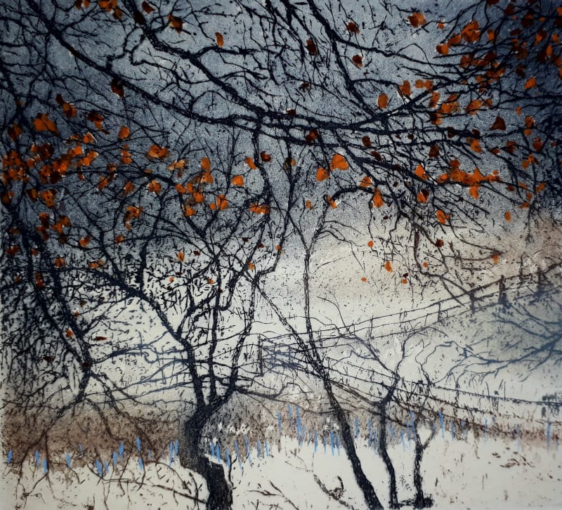 Privacy of Winter