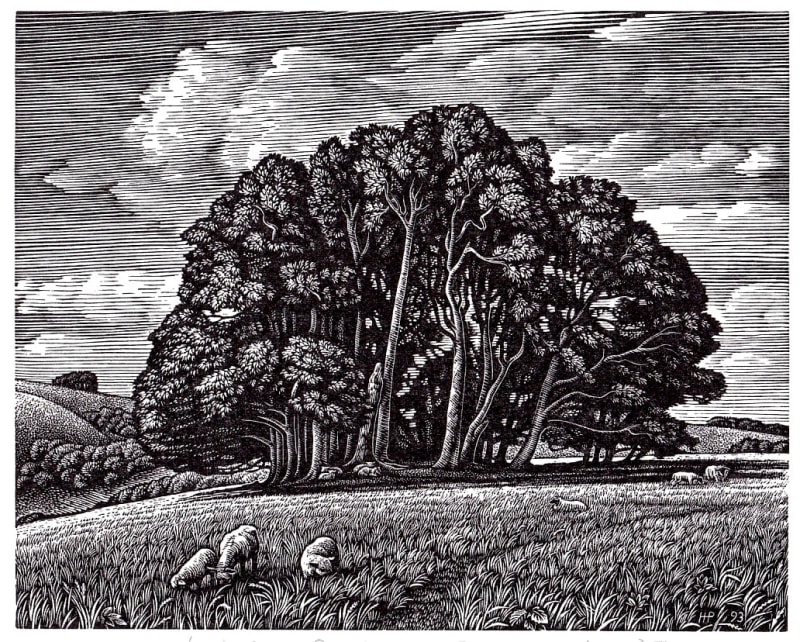 Win Green from Berwick Down