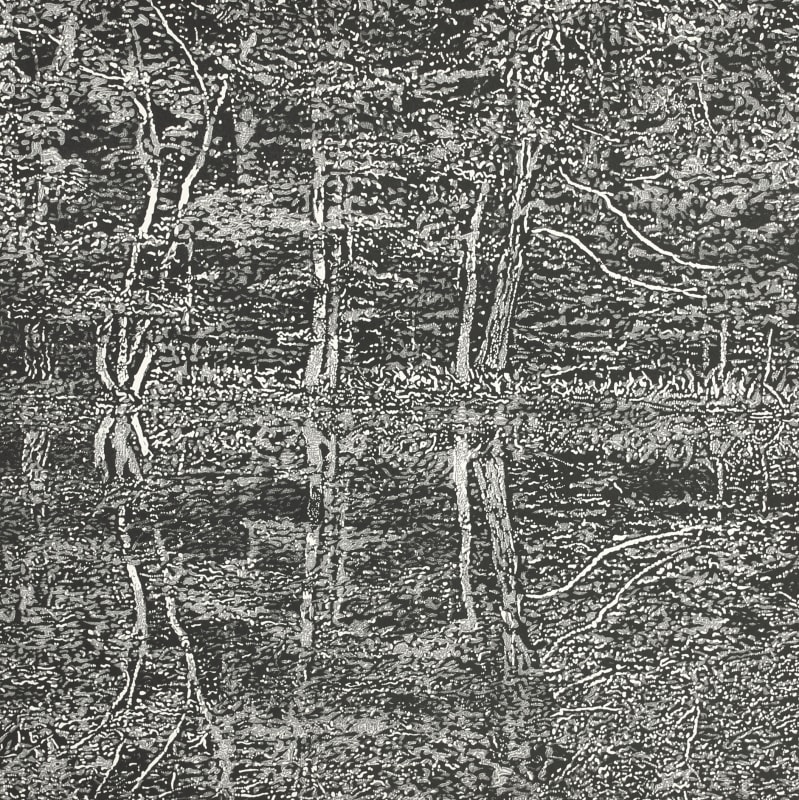 Reflections II
