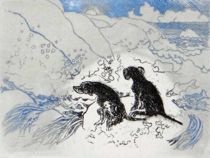 Dogs on a Rock