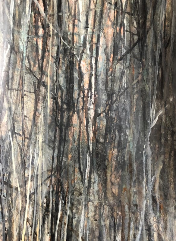 In a Dark Wood, France