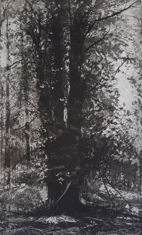 Clifford Woods