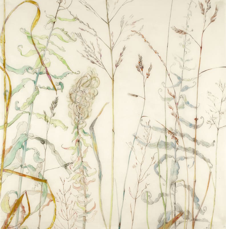 Grasses