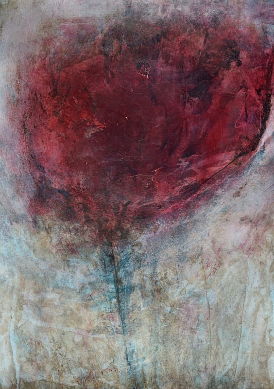 Rose, Lockdown Garden VI