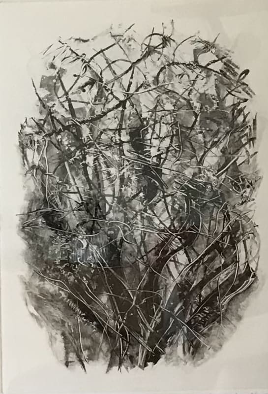Winter Trees 2