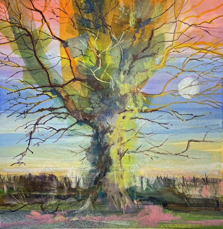 Winter Tree Sketch