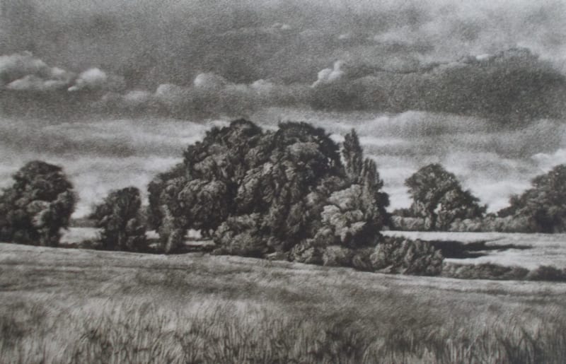 Old Spinney