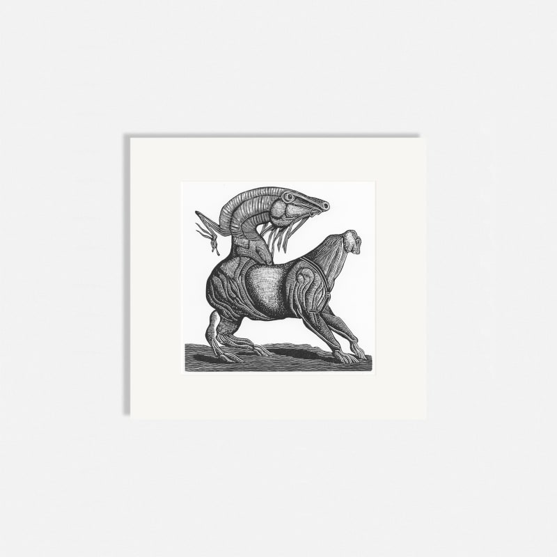 Leonie Bradley RE, Text Prompt: A General History of Quadrupeds II