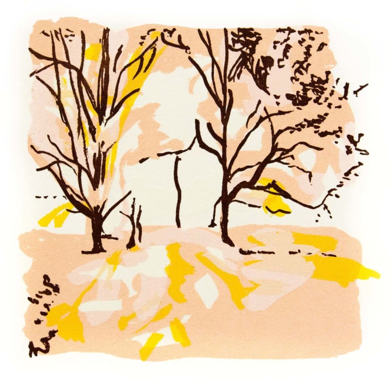 The Heath: Midday Sun
