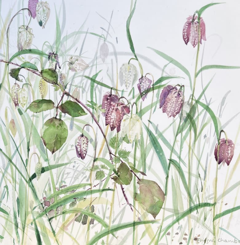 Fritillary and Brambles