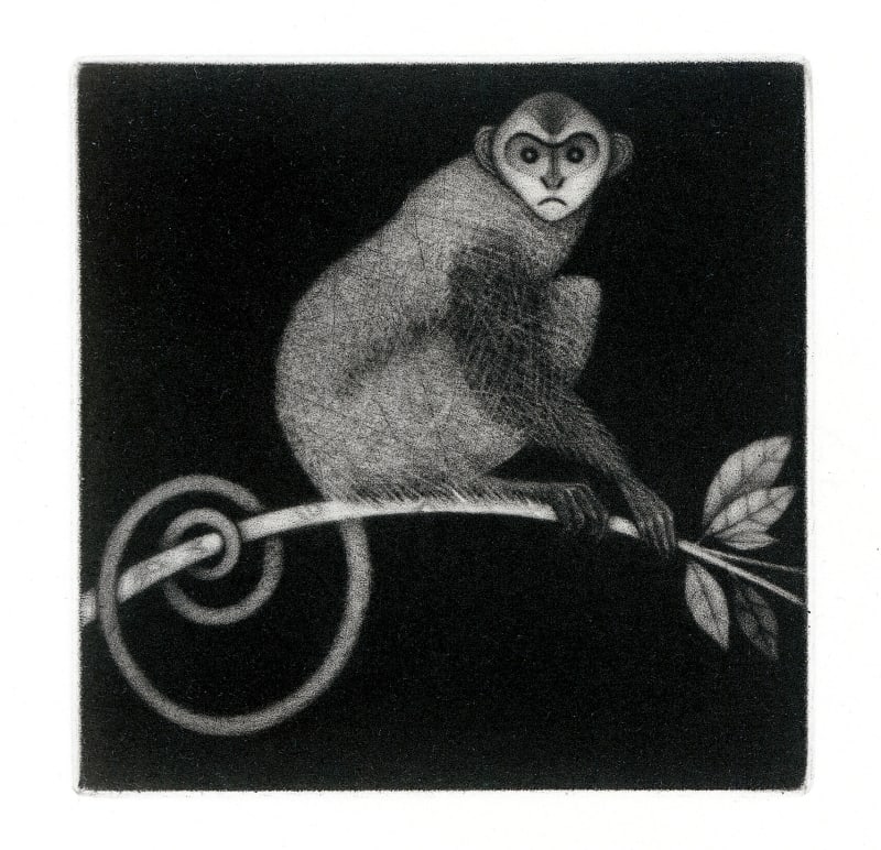 Little Monkey