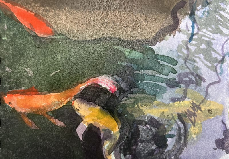 Mr Walton's Koi Carp, Kerala (i)