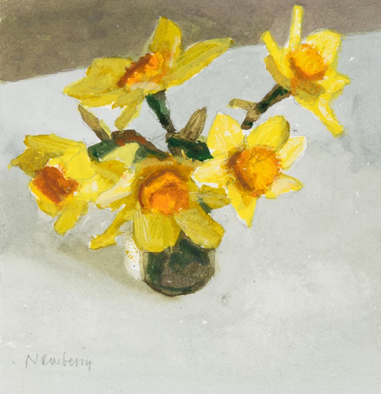 Narcisus in Pot