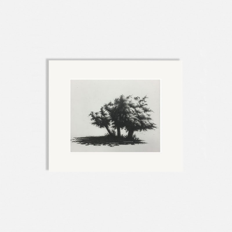 Ali Yanya ARE, Fig Trees