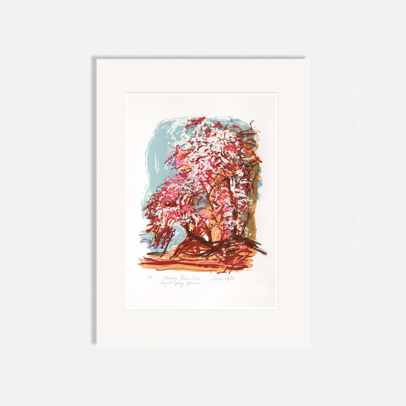 Denise Ballard-Wyllie ARE, Cherry Blossom Front: Languid Spring Afternoon