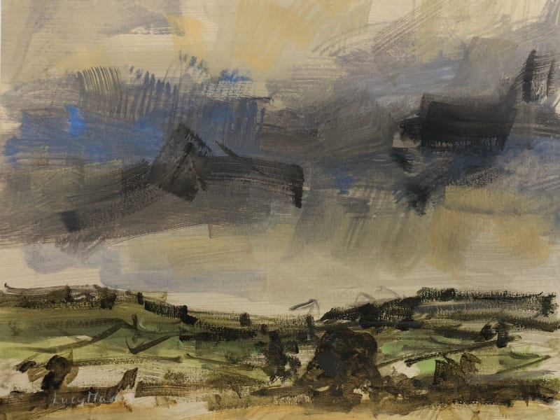 Blustery Clouds over mid-Winter Fields