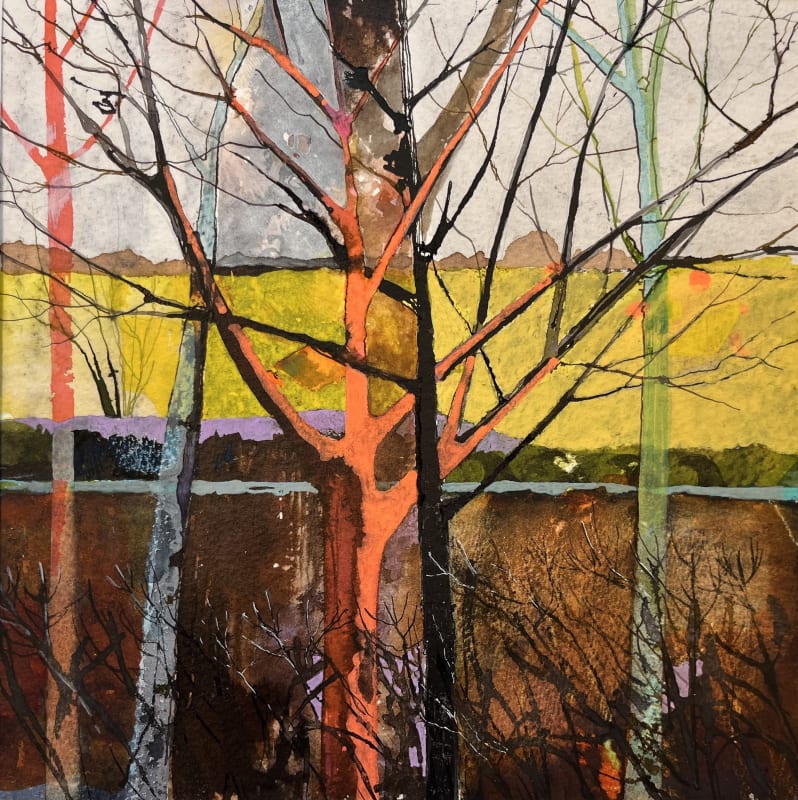 Tree Sketch