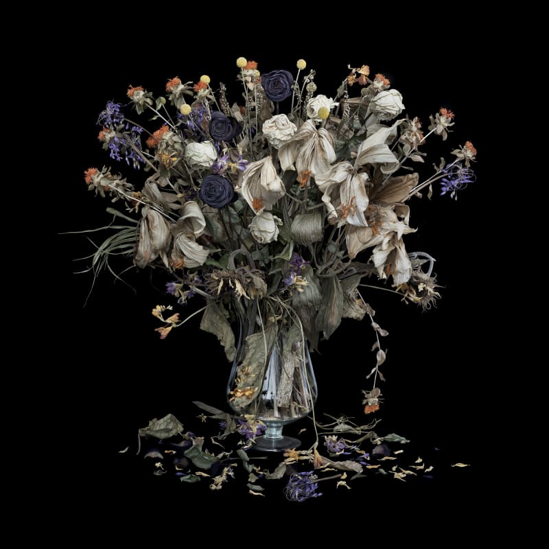 Vanitas XVII