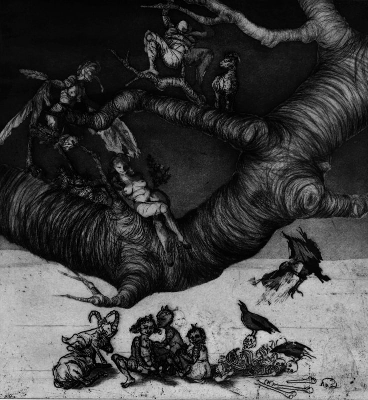 The Shadow Tree II