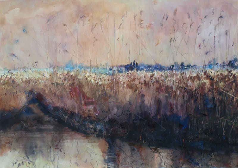 Warm Sunny Evening, Reeds, Cley