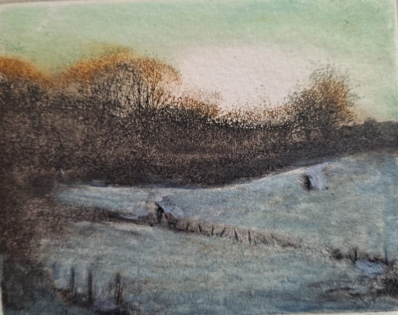 Against a setting sun