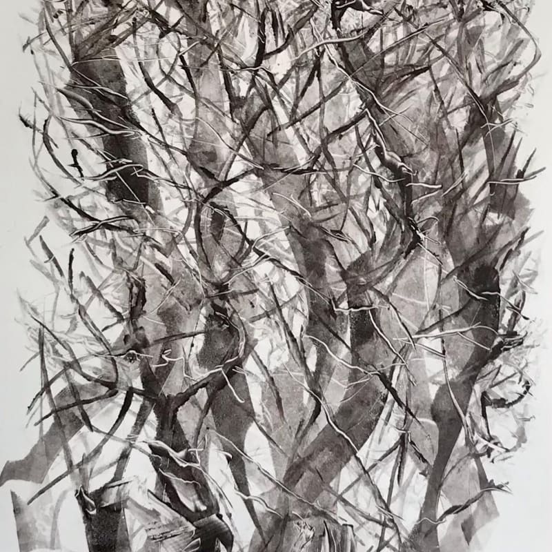 Winter Trees 1