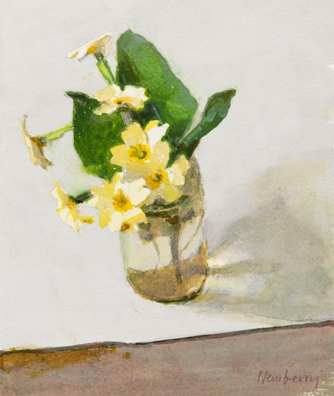 Primrose