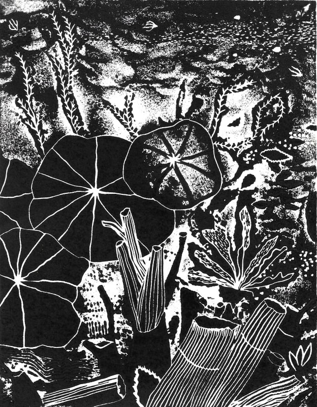 Winter Garden