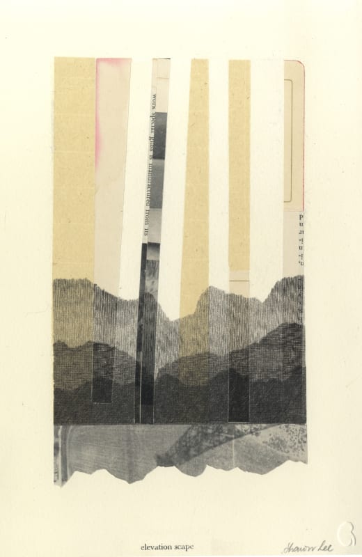 Elevation-Scape 2