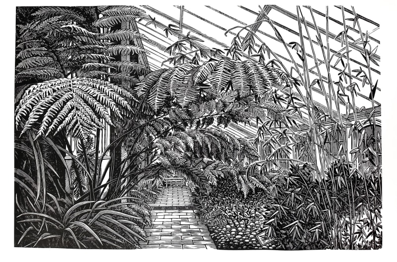 House of Ferns