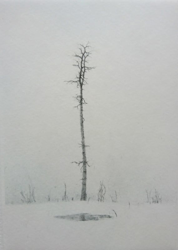 Winter Pond