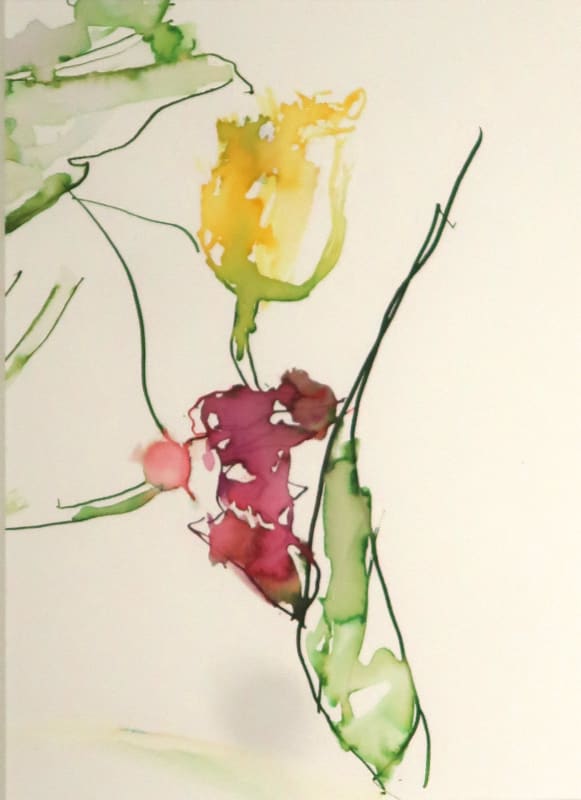 Tulip
