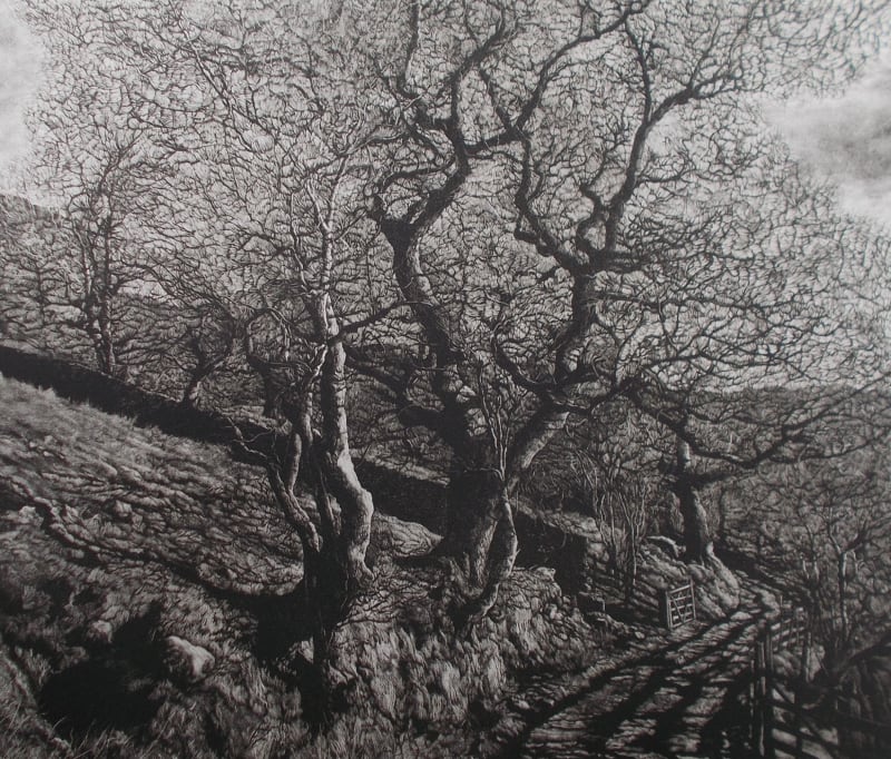 Swindale Spring