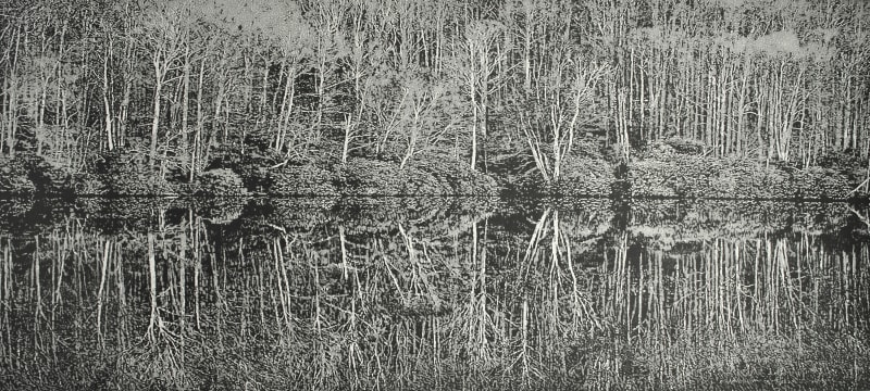 Trevor Price RE, A Moment of Reflection II