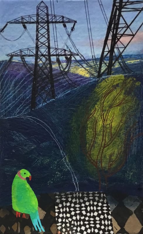 Immigrant at Dungeness