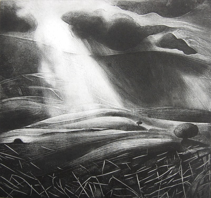 The Wool Pool