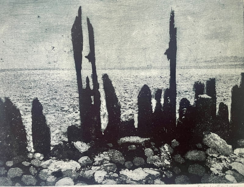 Coast - Groynes