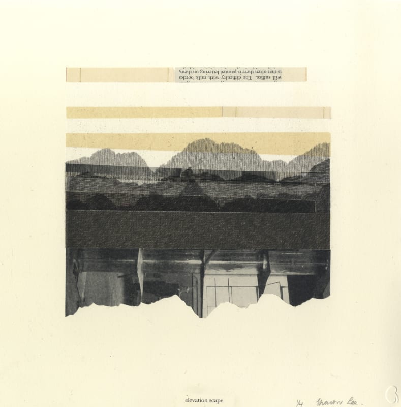 Elevation-Scape 3