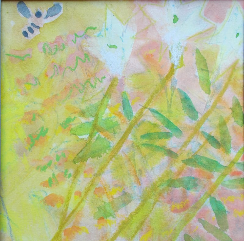 Lilies and Text