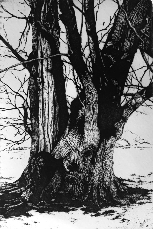 Petworth Park III