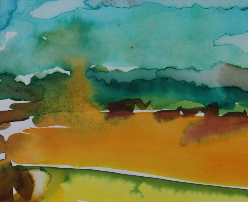 Harvest Field