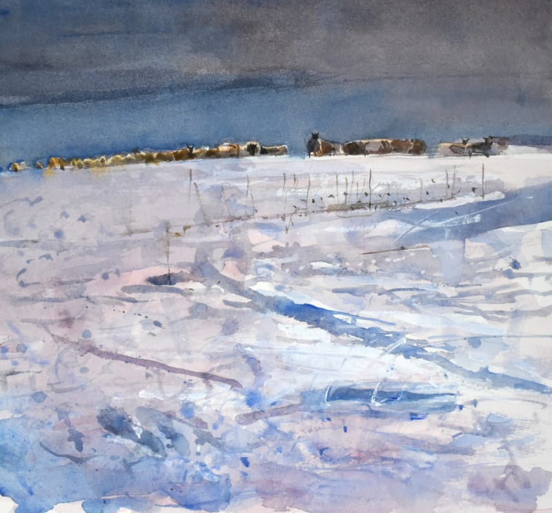 Sheep Tracks in the Snow, Dorset