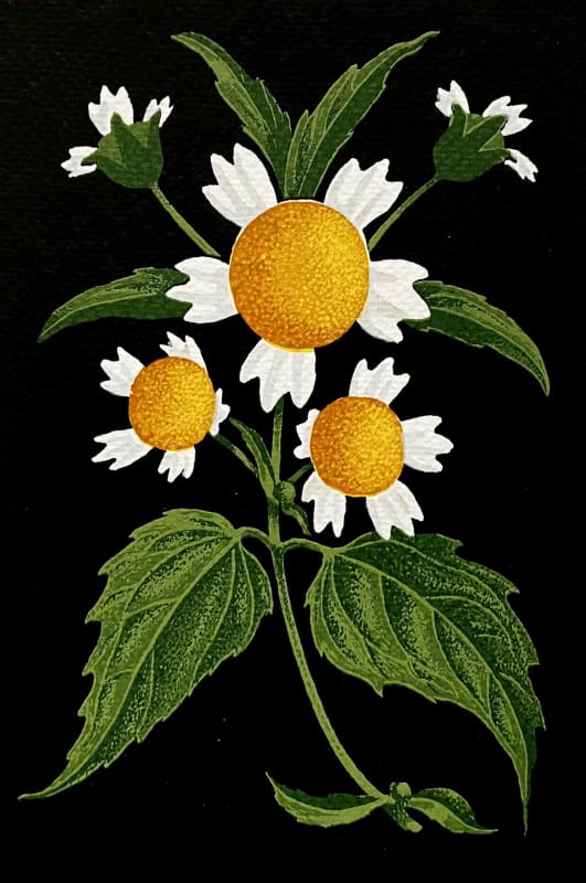 Gallant Soldier