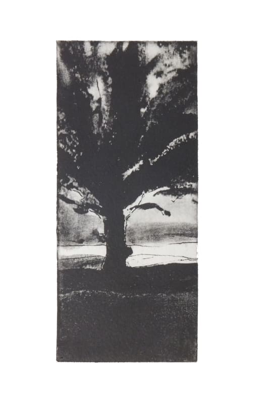 Winter Trees No.2