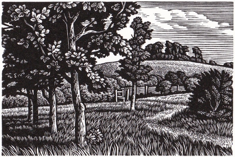 Wittenham Clumps