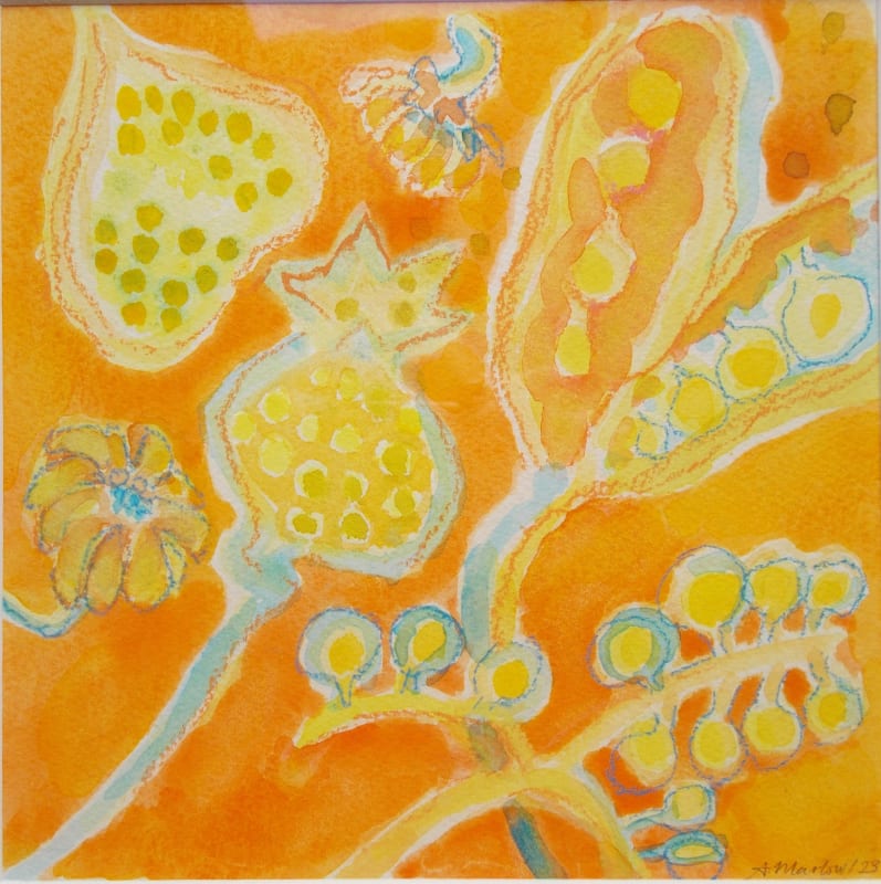 Seeds and Pods
