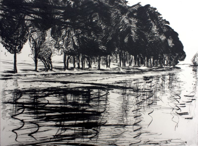 Swan Lake, Berkshire