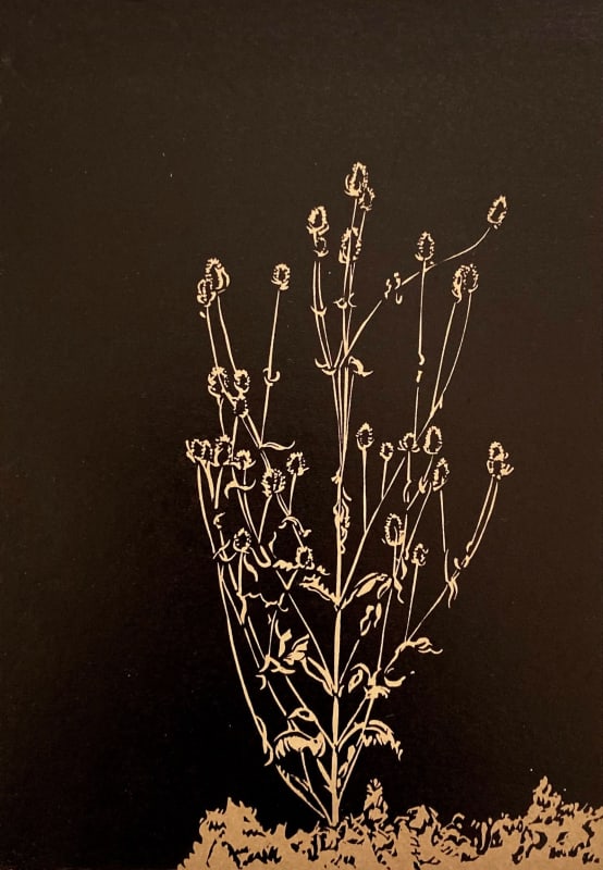 Thistle