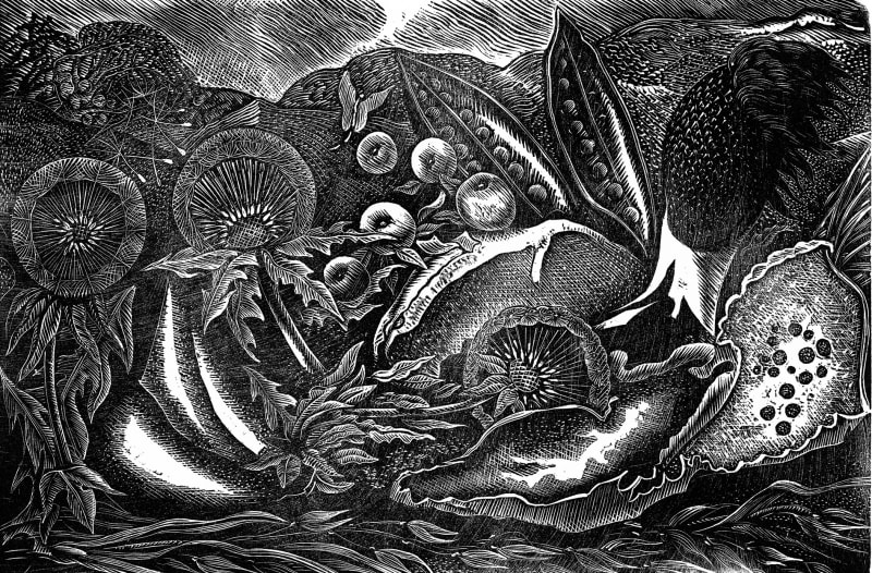 Nature Morte II